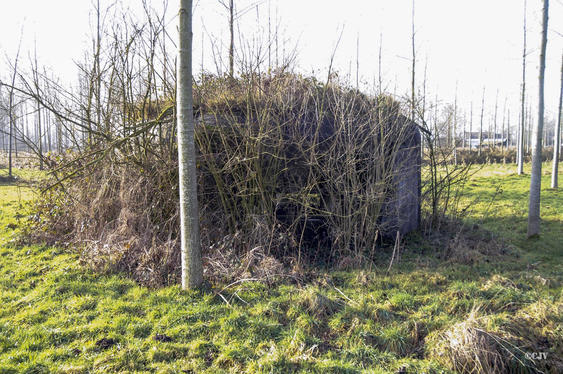 Ligne Maginot - B343 - BOIS DE BERCU NORD - (Blockhaus pour canon) -  - Caspar Vermeulen