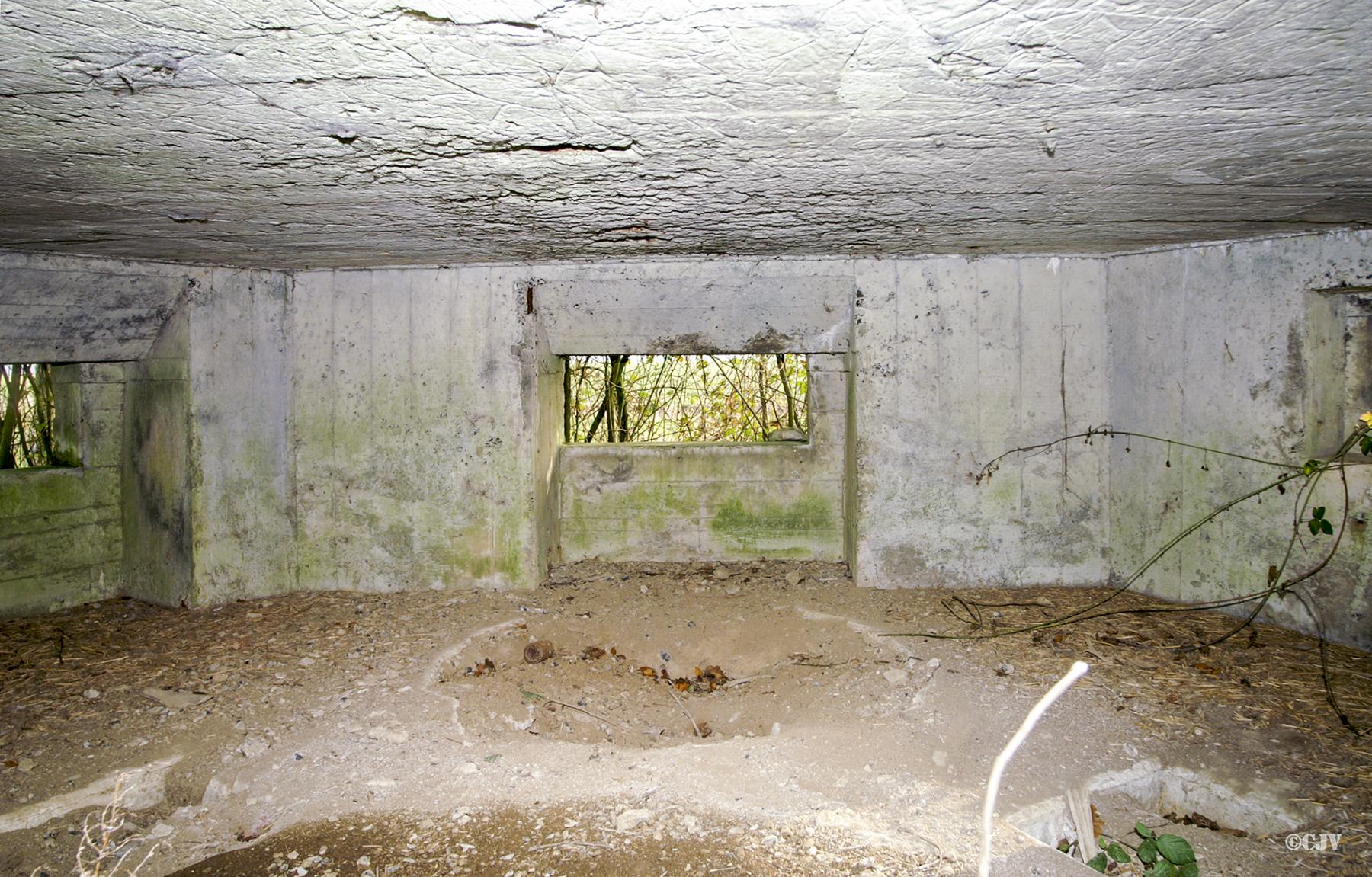 Ligne Maginot - B343 - BOIS DE BERCU NORD - (Blockhaus pour canon) -  - Caspar Vermeulen