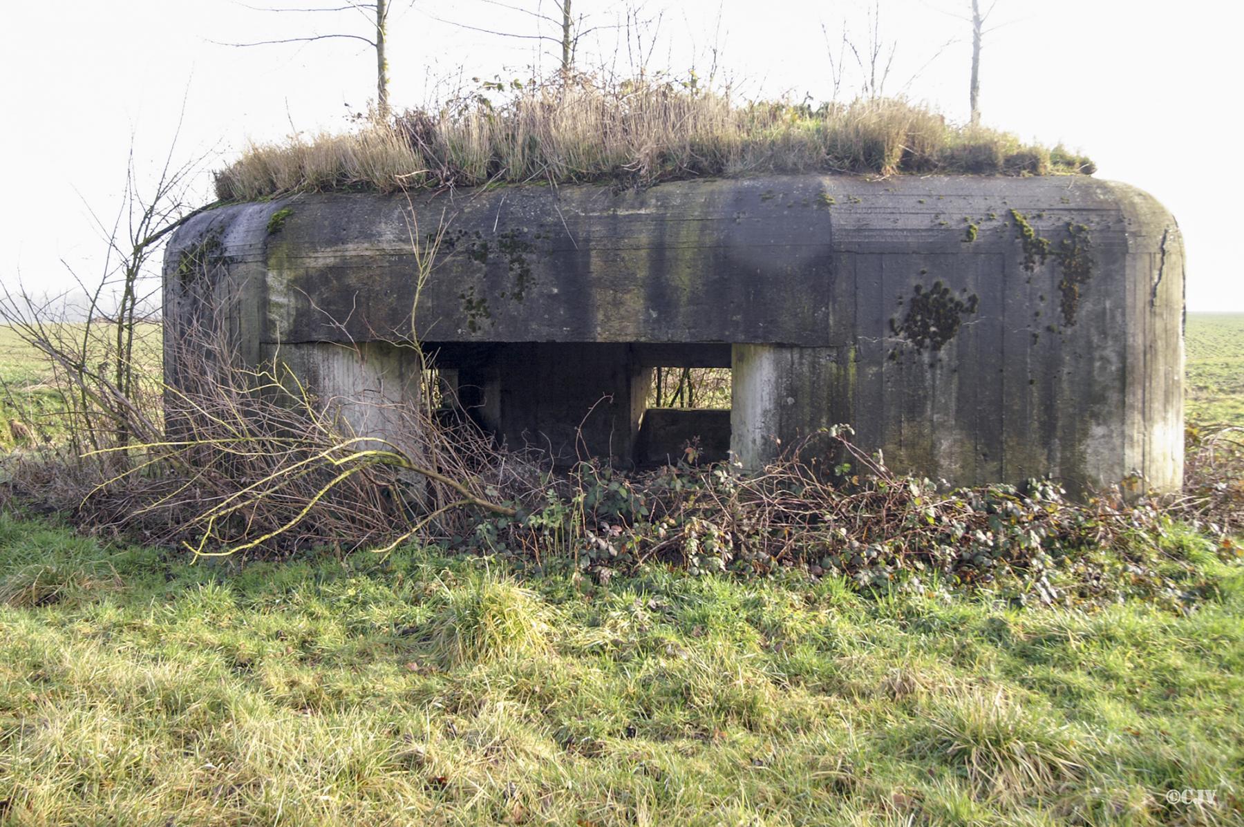 Ligne Maginot - B343 - BOIS DE BERCU NORD - (Blockhaus pour canon) -  - Caspar Vermeulen