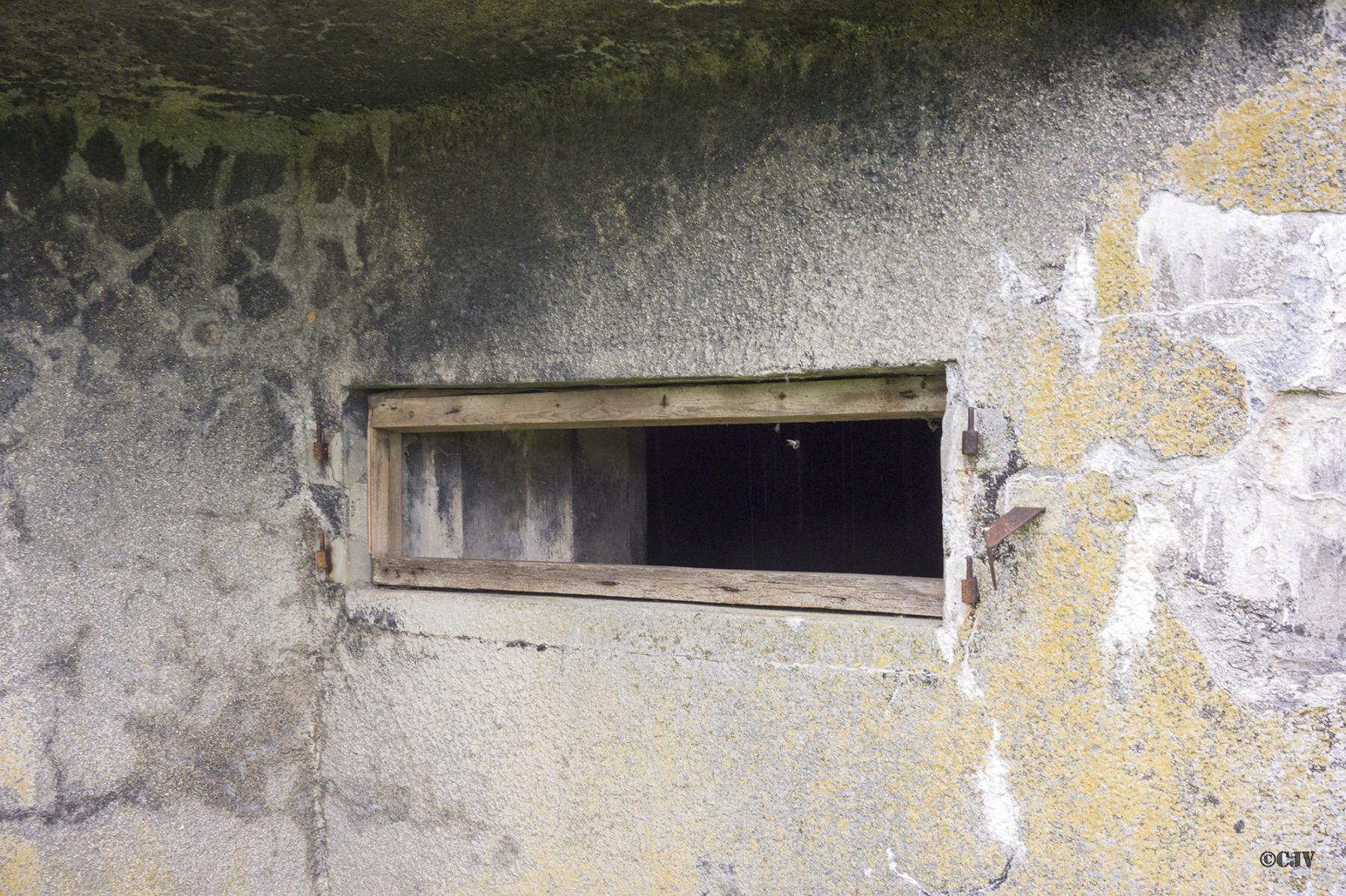Ligne Maginot - B358 - LA BOUGRIE OUEST - (Blockhaus pour canon) -  - Lia VERMEULEN