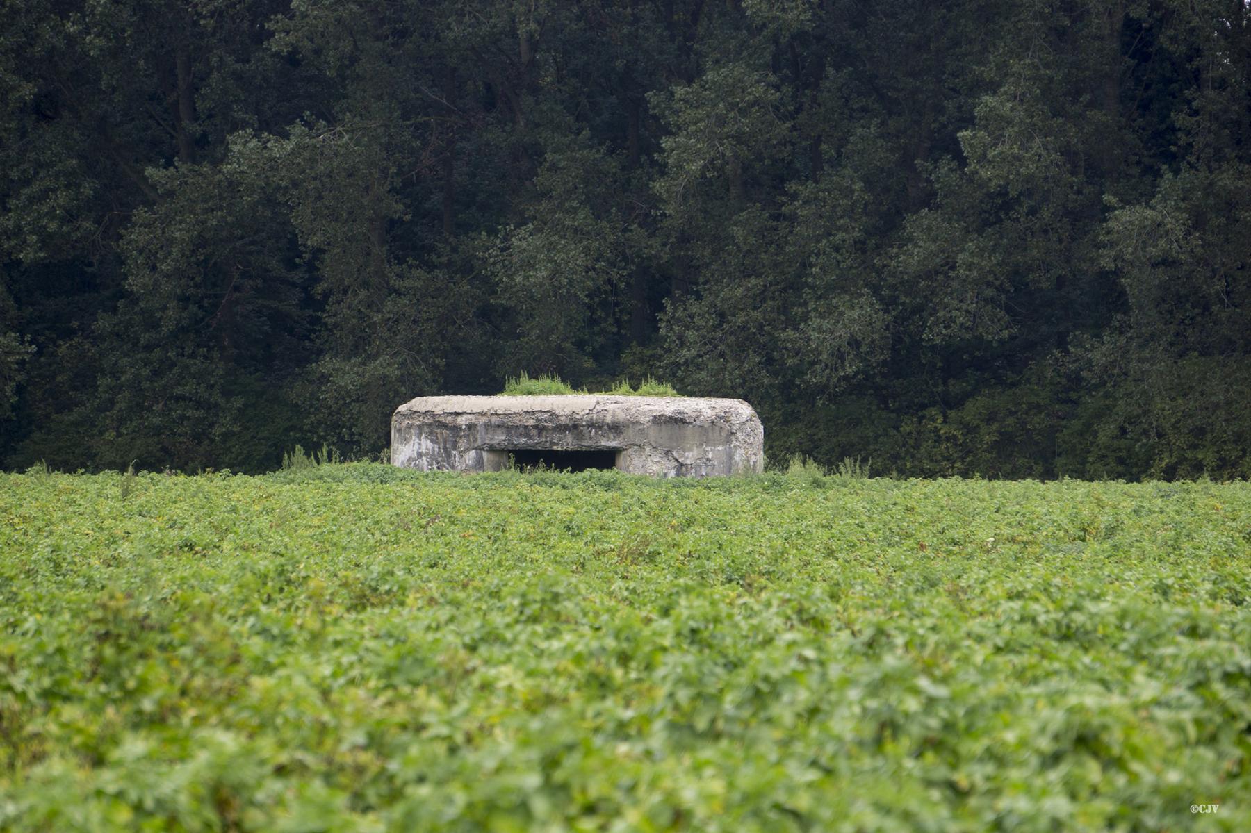 Ligne Maginot - B366BIS - LE ROTELEUX - (Blockhaus pour canon) -  - Lia VERMEULEN