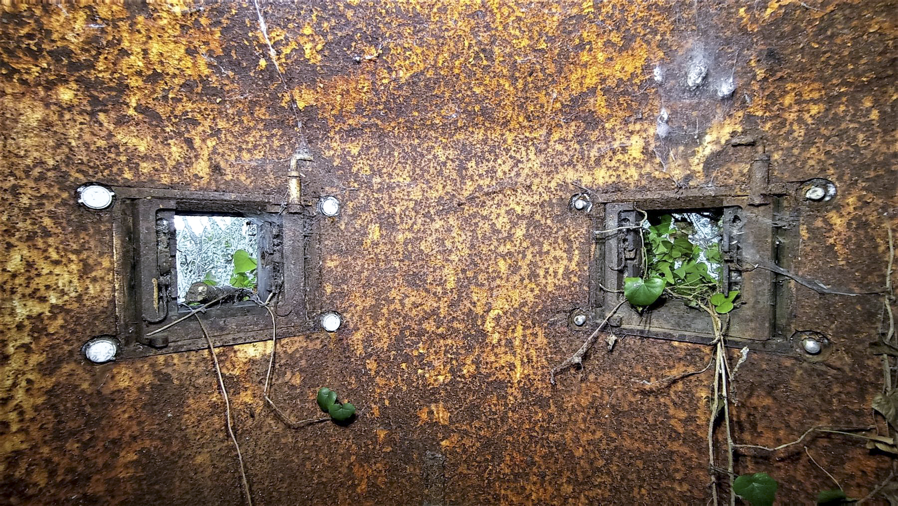 Ligne Maginot - BUCHHOLZBERG (I / 79° RIF) - (Abri) - Deux des cinq créneaux de la cloche GFM Est - Baptiste GAUDIN