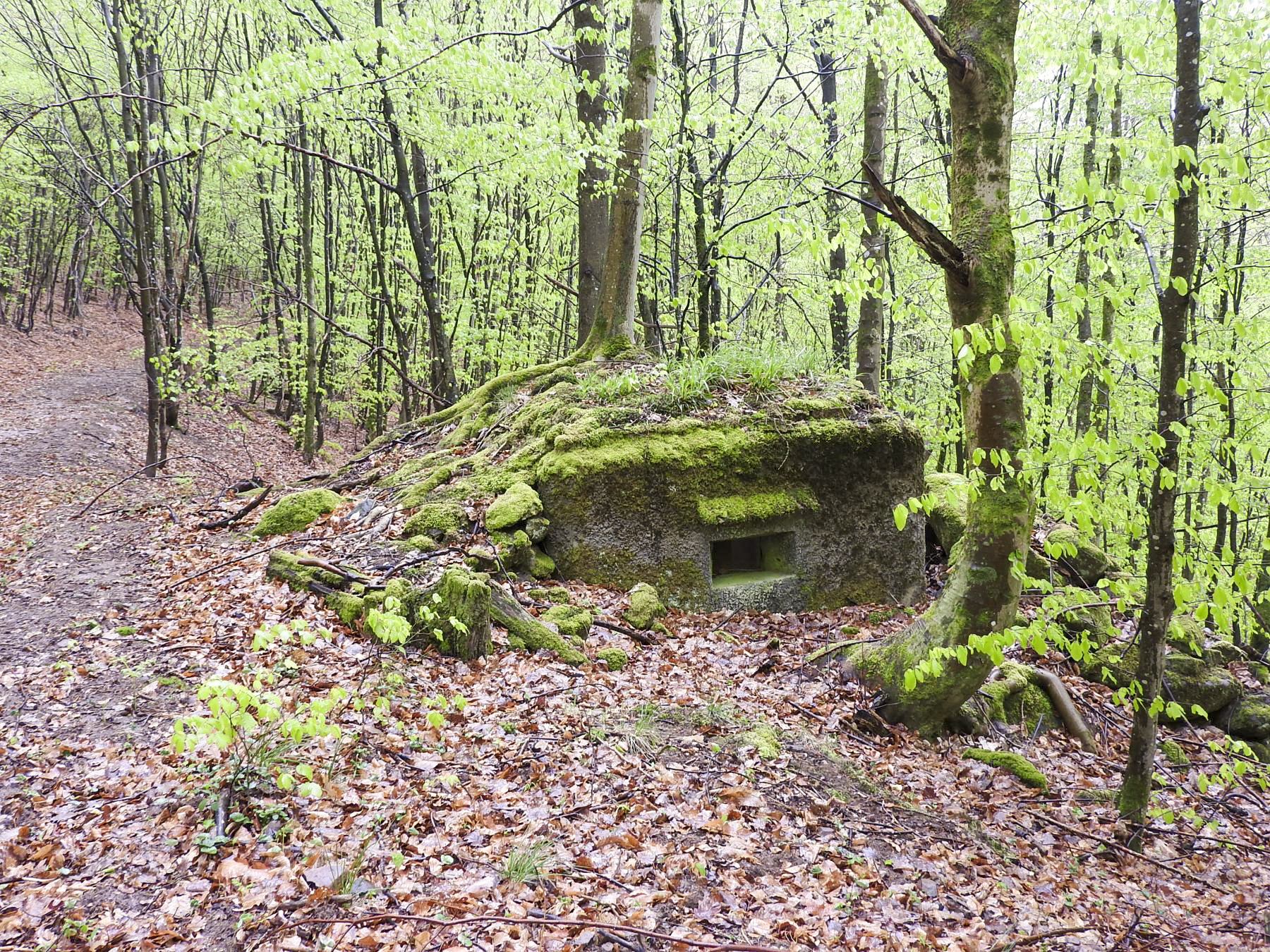 Ligne Maginot - M9 - TRAUTBACH 1 - (Blockhaus pour arme infanterie) - Le créneau pour mitrailleuse - STENGER Mathieu