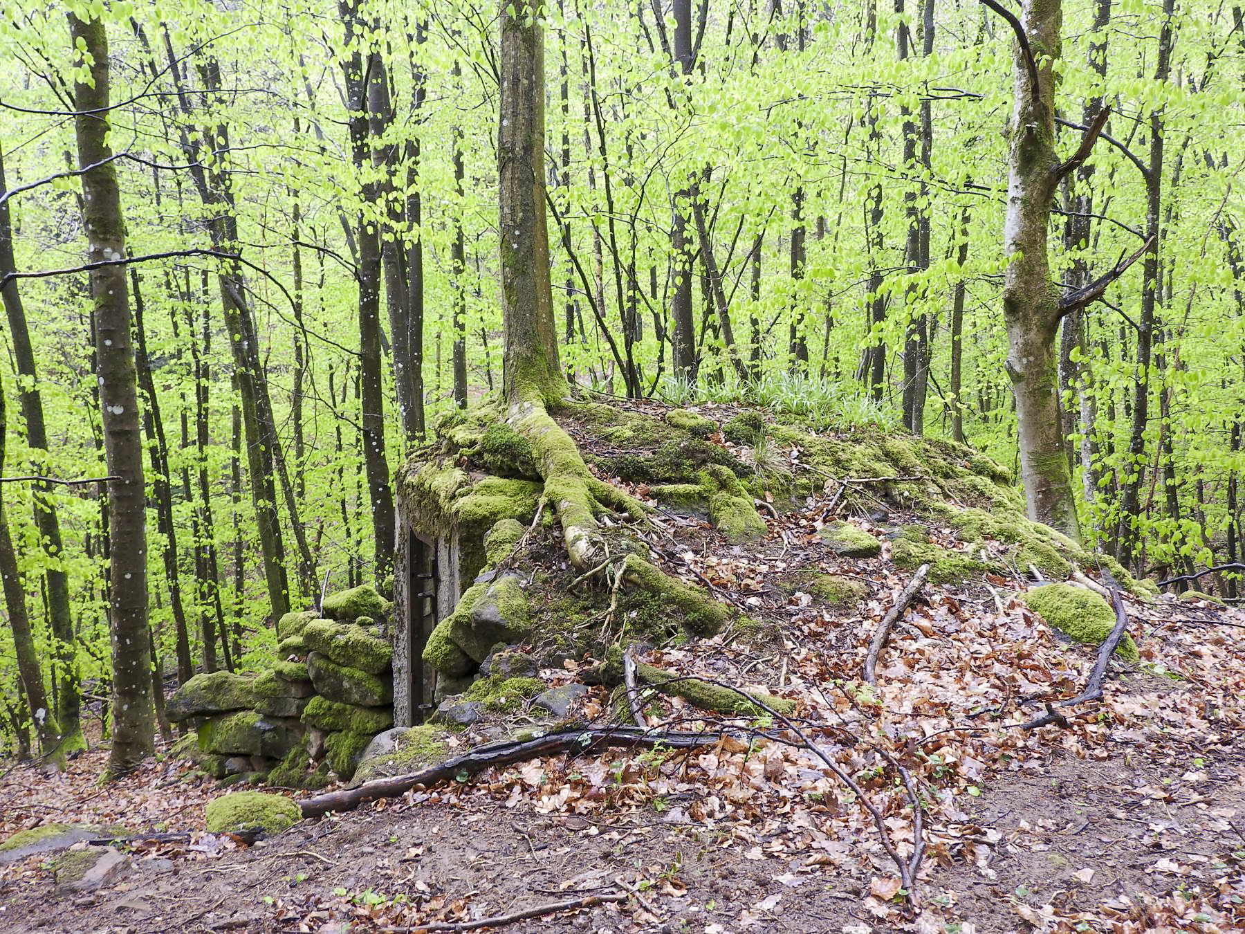 Ligne Maginot - M9 - TRAUTBACH 1 - (Blockhaus pour arme infanterie) - L'entrée  - STENGER Mathieu