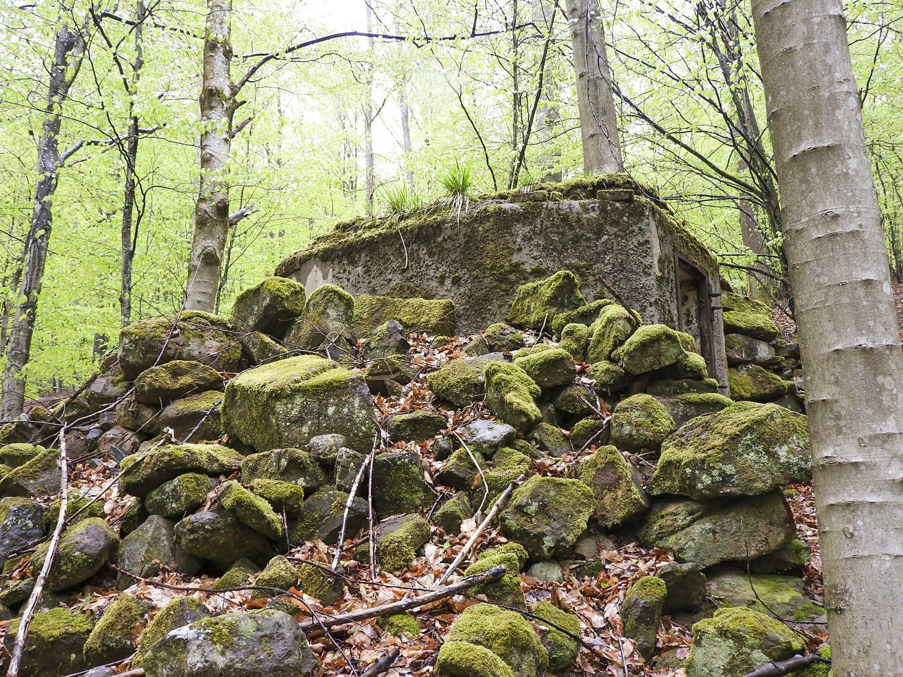 Ligne Maginot - M9 - TRAUTBACH 1 - (Blockhaus pour arme infanterie) - Le rocaillage sur le coté exposé - STENGER Mathieu