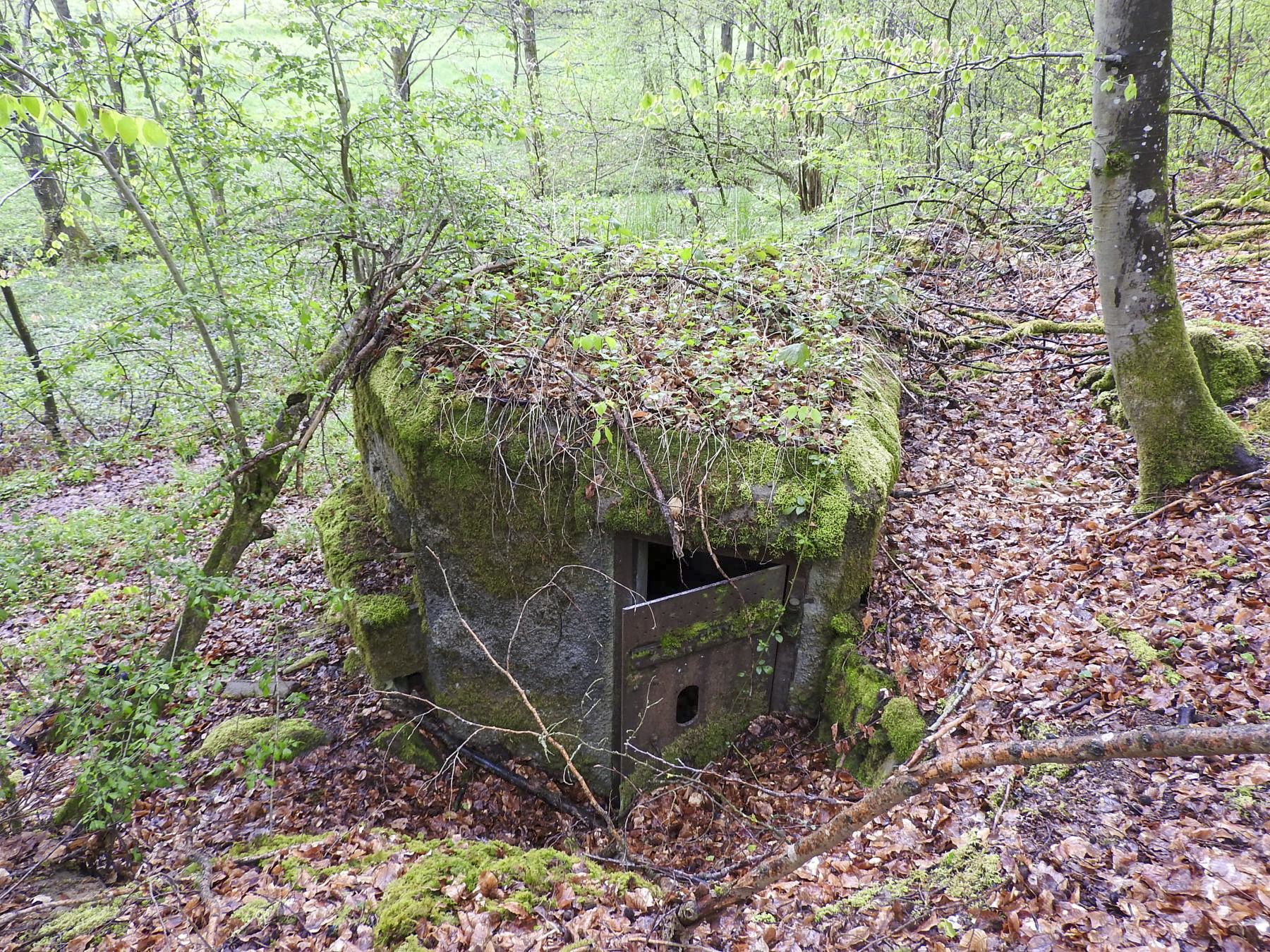 Ligne Maginot - FM28 - TRAUTBACH 2 - (Blockhaus pour arme infanterie) - L'entrée - STENGER Mathieu