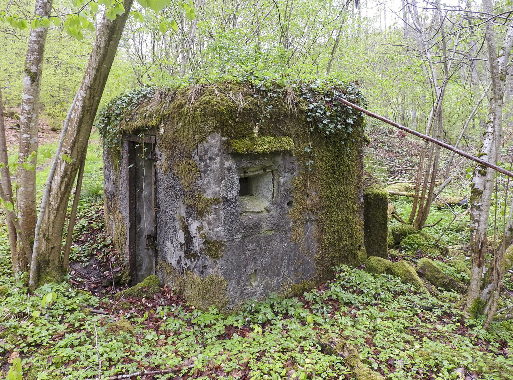 Ligne Maginot - FM27 - TRAUTBACH 3 - (Blockhaus pour arme infanterie) - L'entrée et le créneau droit - STENGER Mathieu
