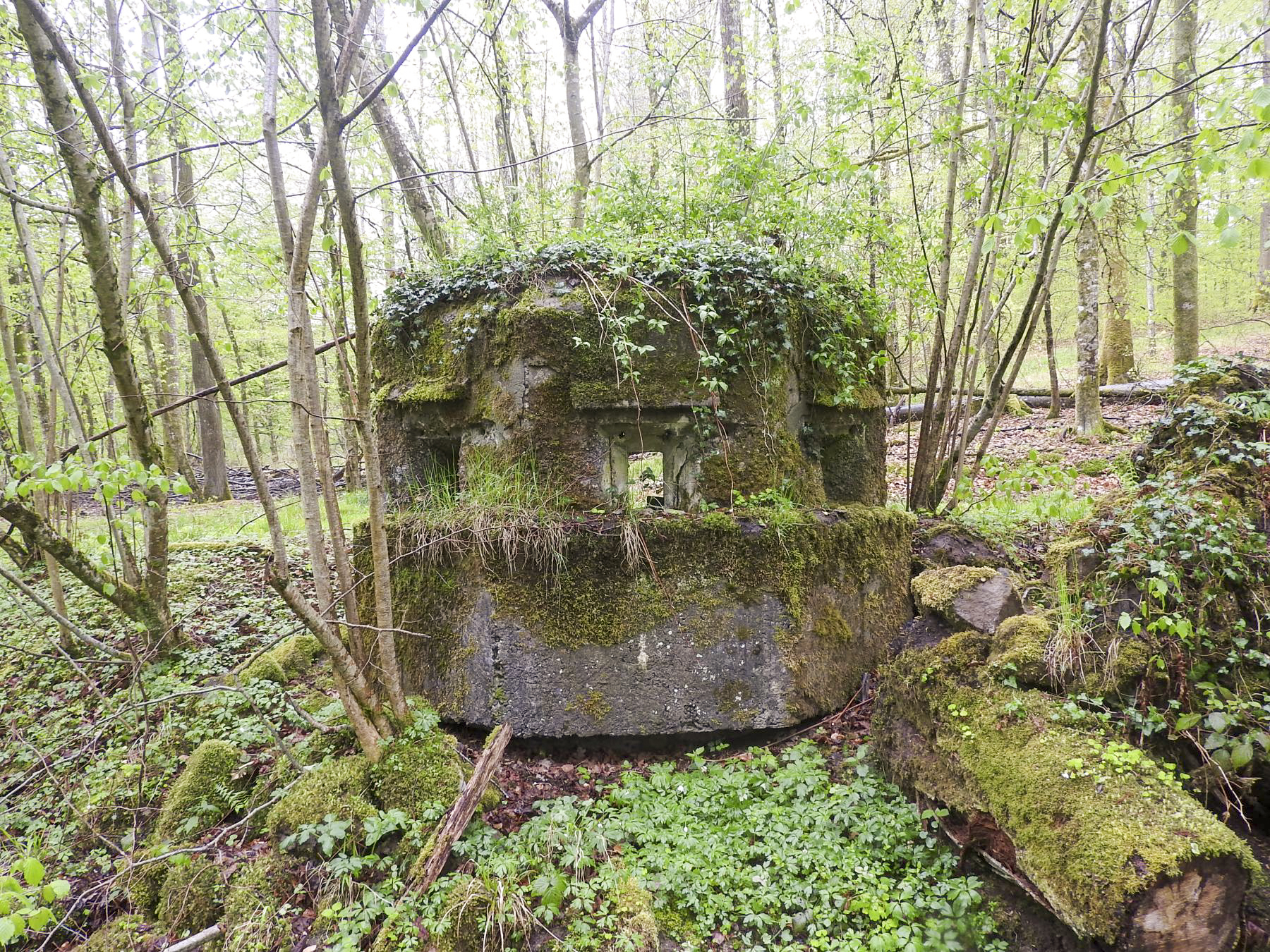 Ligne Maginot - FM27 - TRAUTBACH 3 - (Blockhaus pour arme infanterie) - Les créneaux frontaux - STENGER Mathieu