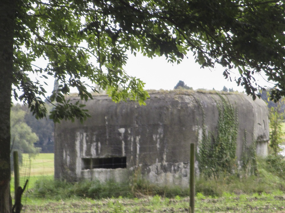 Ligne Maginot - B255 - TRIEZ CAILLOUX - (Blockhaus pour canon) - B255 - TRIEZ-CAILLOUX vu depuis la rue du Chemin vert. - Smardz Félix