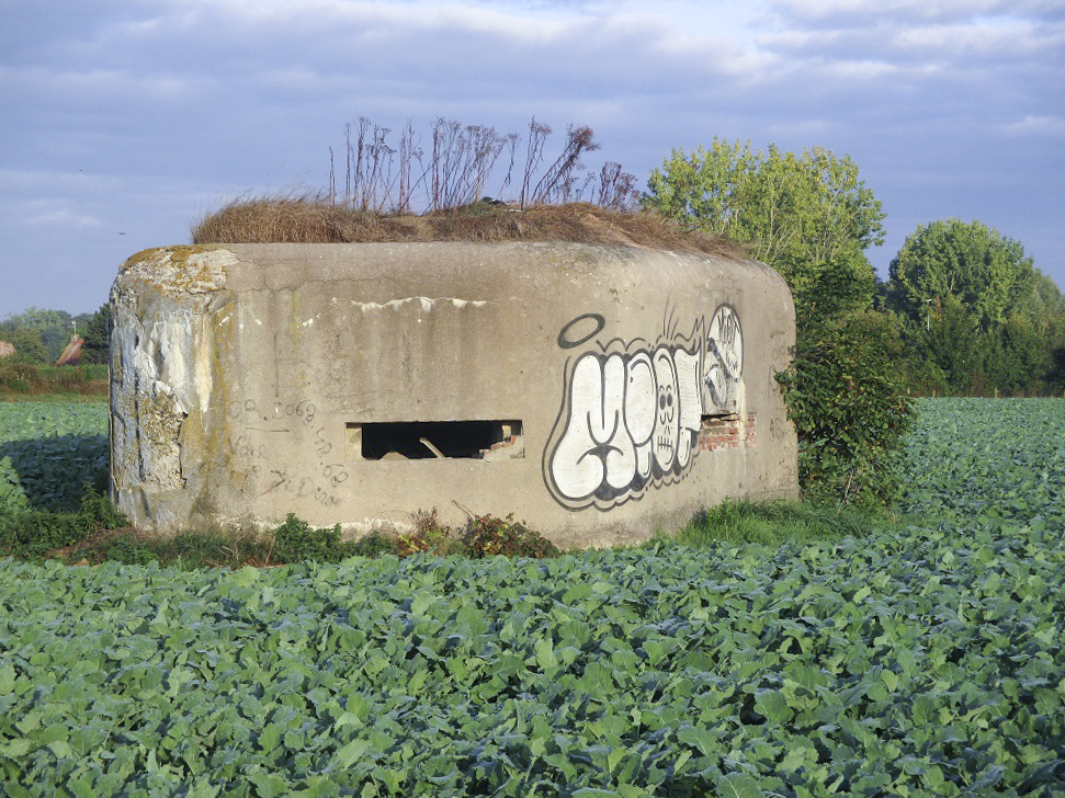 Ligne Maginot - B264 - Le BILEMONT (Blockhaus pour canon) -  - Smardz Félix