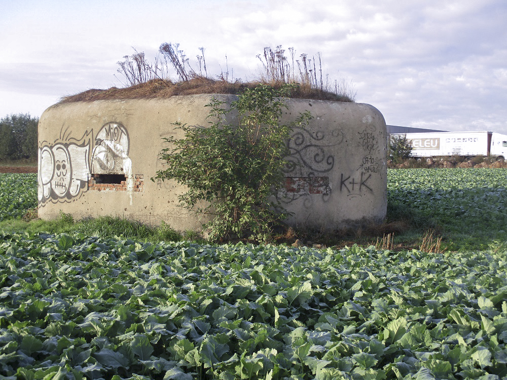 Ligne Maginot - B264 - Le BILEMONT (Blockhaus pour canon) -  - Smardz Félix