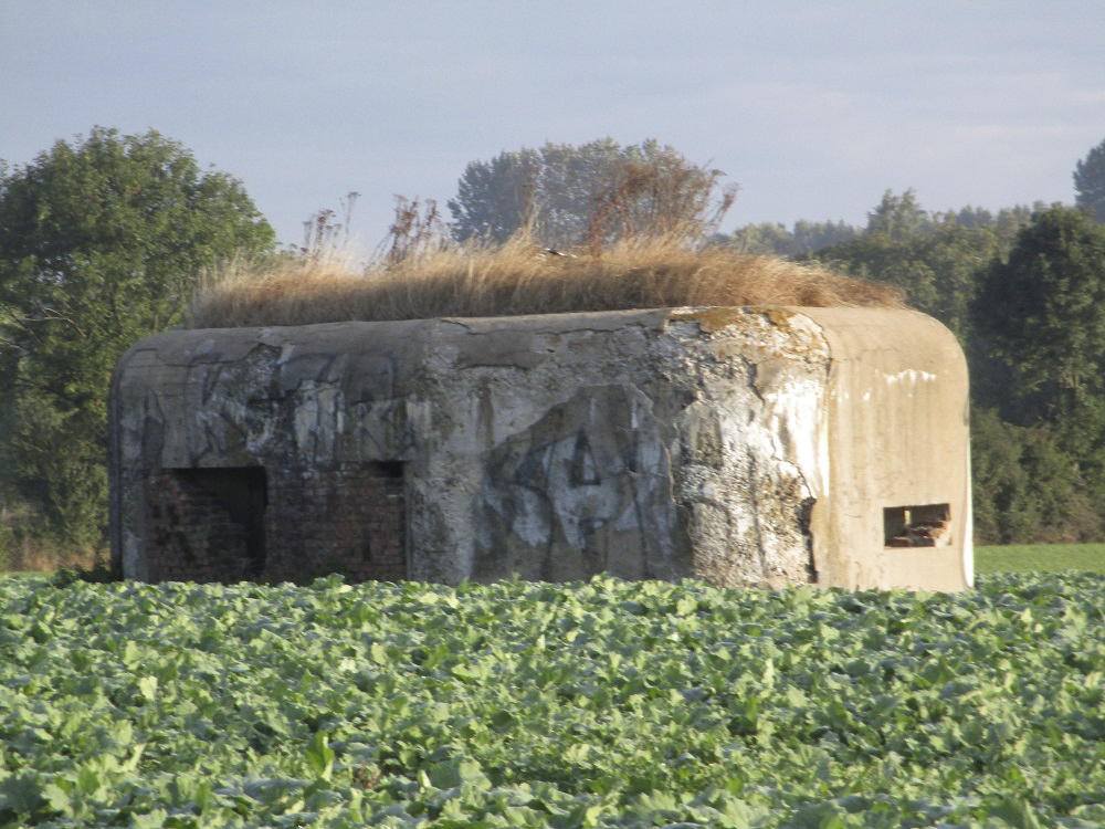 Ligne Maginot - B264 - Le BILEMONT (Blockhaus pour canon) -  - Smardz Félix