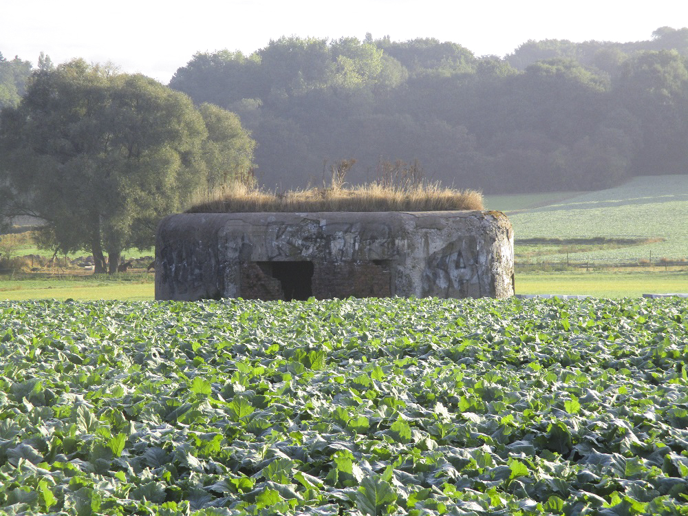 Ligne Maginot - B264 - Le BILEMONT (Blockhaus pour canon) - B264 - Le BILEMONT situé dans son environnement - vu depuis la D191. - Smardz Félix