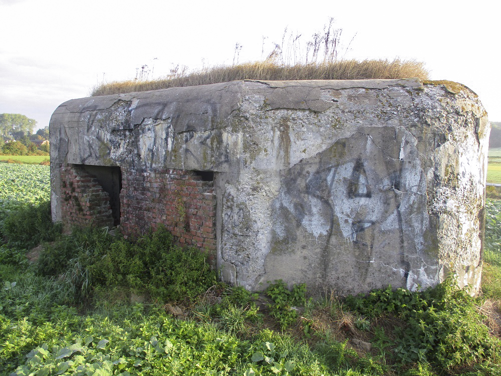 Ligne Maginot - B264 - Le BILEMONT (Blockhaus pour canon) -  - Smardz Félix