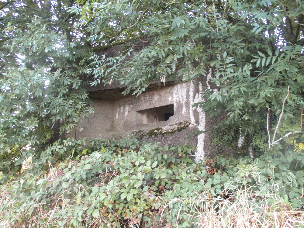 Ligne Maginot - B263 - LE VERTUQUET - (Blockhaus pour canon) -  - Smardz Félix