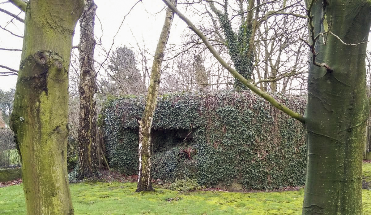 Ligne Maginot - B277bis - FLEURY Sud - (Blockhaus pour canon) -  - vincent59150