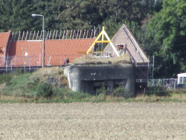 Ligne Maginot - B296 - CHAPELLE MADAME (Blockhaus pour canon) - Blockhaus dans son environnement. - Smardz Félix