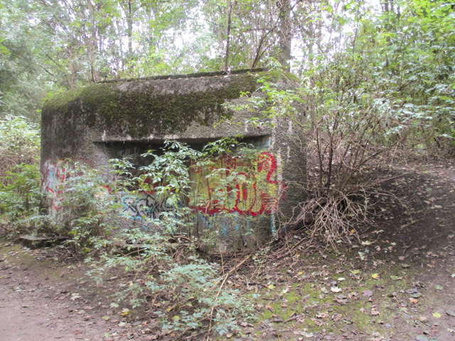 Ligne Maginot - B303 - Le FOREST (Blockhaus pour canon) -  - Smardz Félix