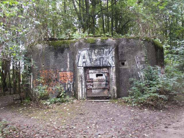 Ligne Maginot - B303 - Le FOREST (Blockhaus pour canon) - Vu de la GR 121 B. - Smardz Félix