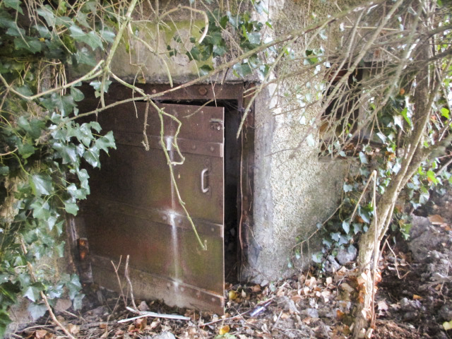 Ligne Maginot - B309 - PONT à TRESSIN SUD - (Blockhaus pour canon) -  - Smardz Félix