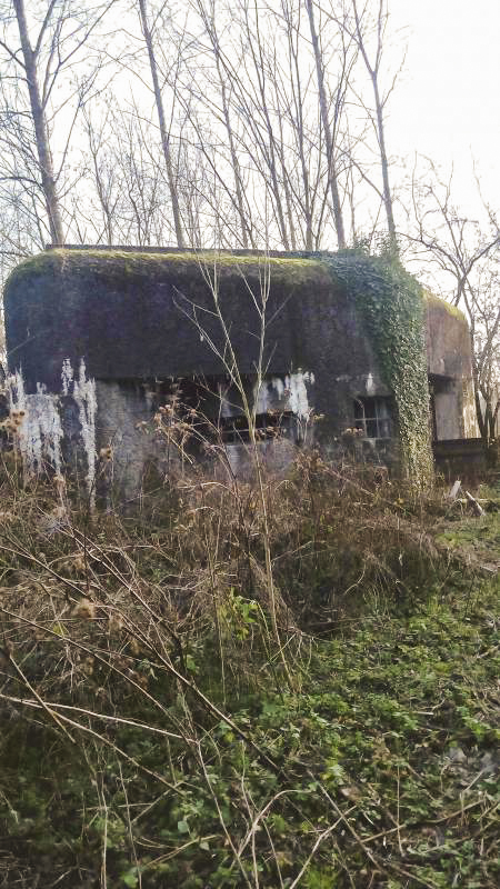 Ligne Maginot - B306 - ROCH Est (Blockhaus pour canon) -  - Denis CASSEZ