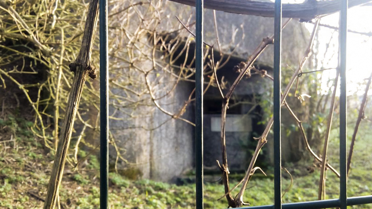 Ligne Maginot - B304 - PETIT MARAIS - (Blockhaus pour canon) -  - Asso. Maginot Escaut