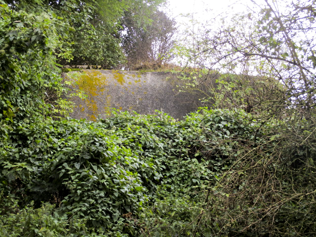 Ligne Maginot - B304 - PETIT MARAIS - (Blockhaus pour canon) - Vu de la GR 121 B. - Smardz Félix