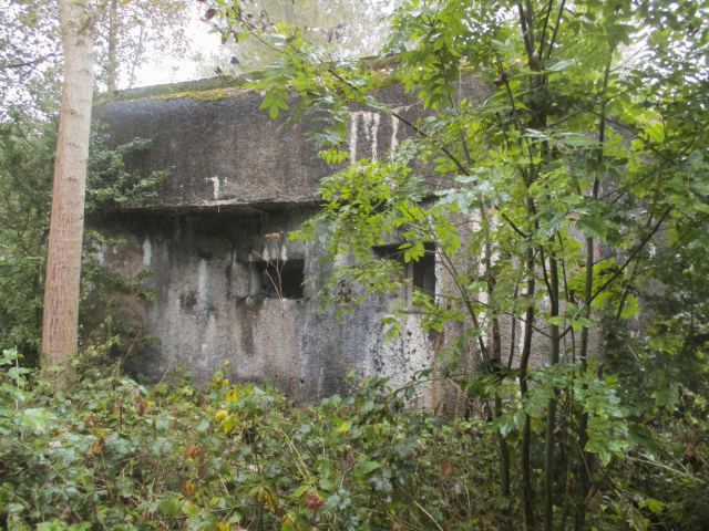 Ligne Maginot - B323 - LOUVIL (Blockhaus pour canon) -  - Smardz Félix