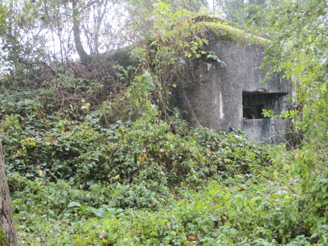 Ligne Maginot - B322 - MELCHAMEZ Sud (Blockhaus pour canon) -  - Smardz Félix