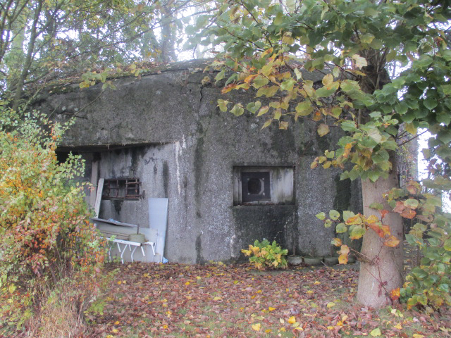 Ligne Maginot - B345 - BERCU PONT d'OR (Blockhaus pour canon) -  - Smardz Félix