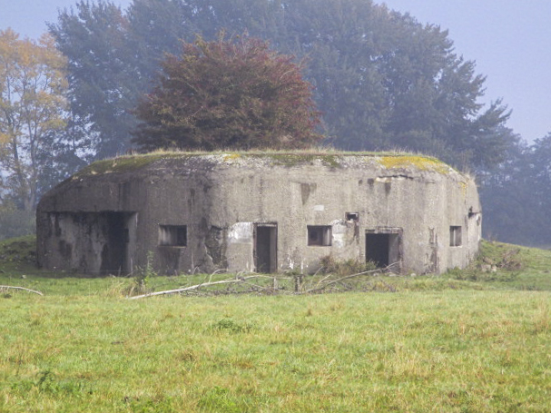 Ligne Maginot - B349 - MONTURY (Blockhaus pour canon) - Blockhaus situé dans un pré. - Smardz Félix