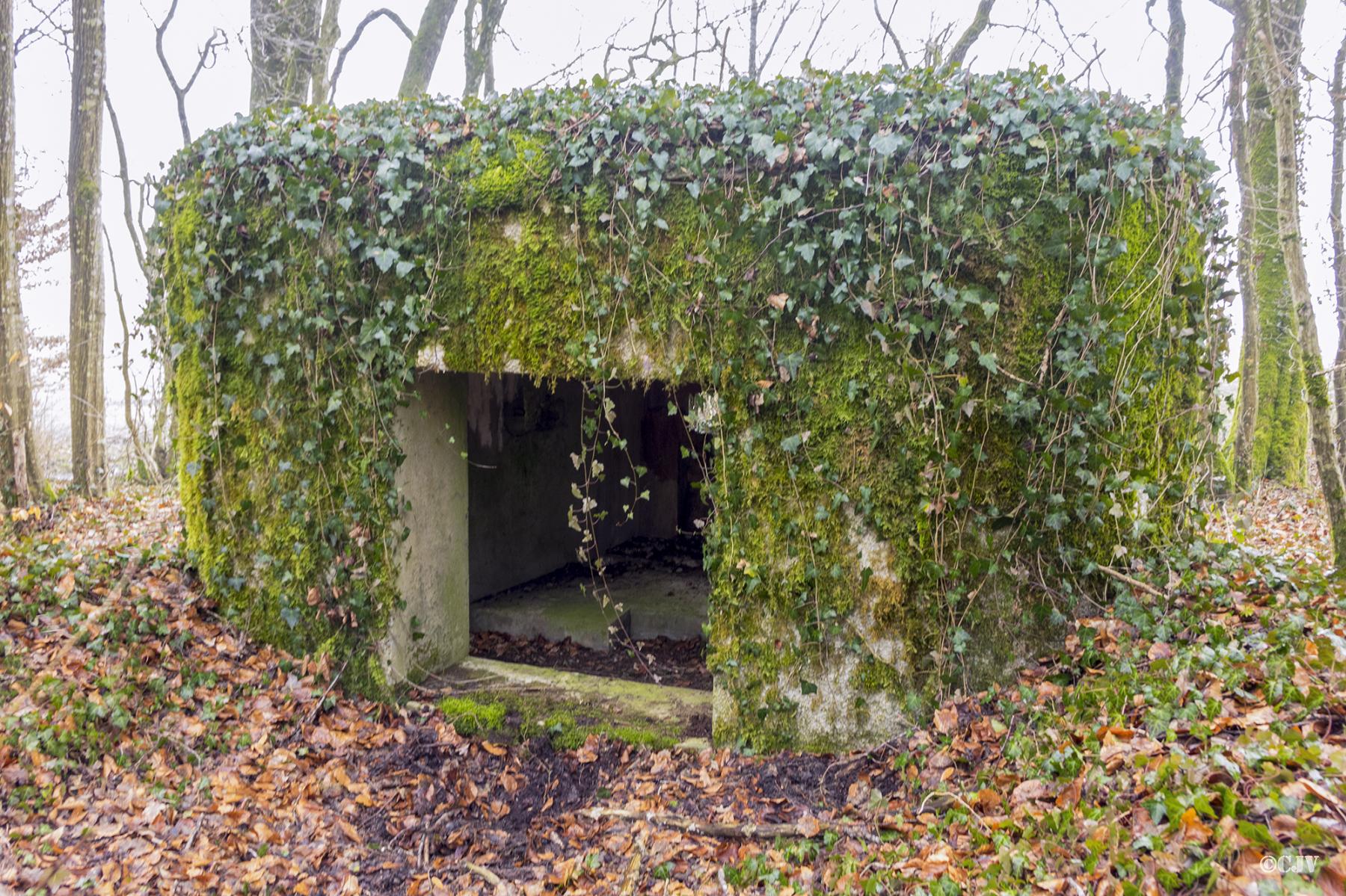 Ligne Maginot - MBO3 - (Blockhaus pour canon) -  - Lia VERMEULEN