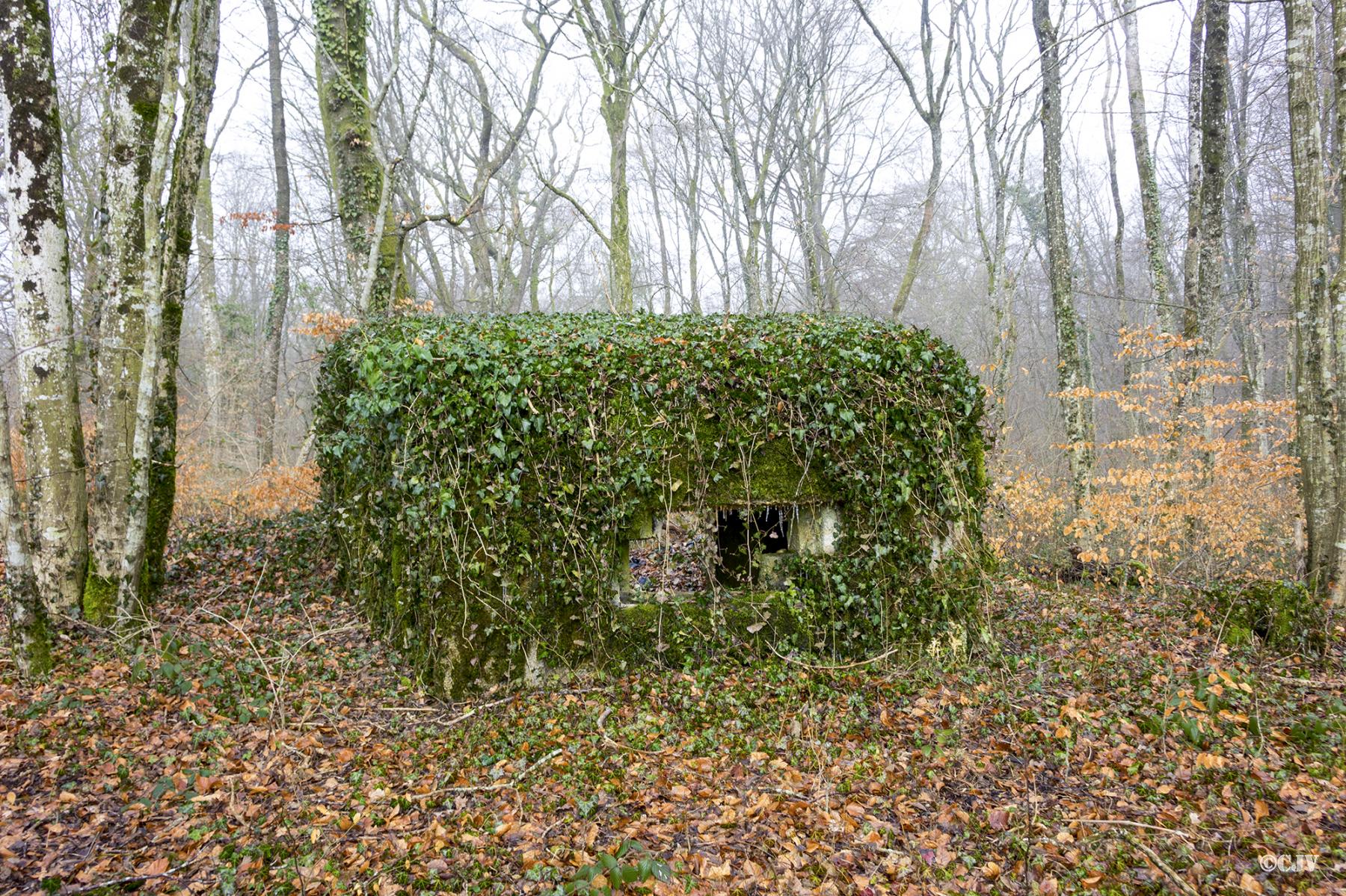 Ligne Maginot - MBO3 - (Blockhaus pour canon) -  - Lia VERMEULEN