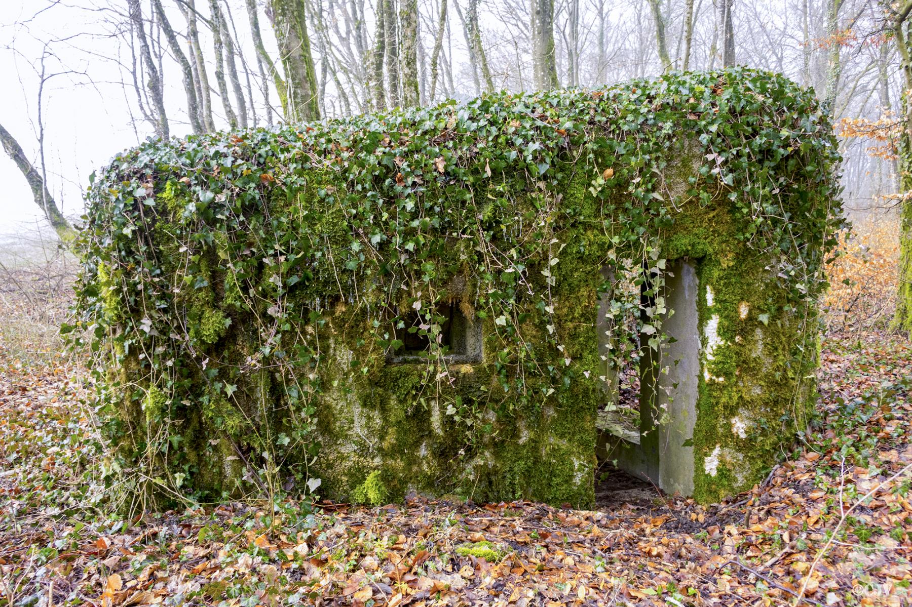 Ligne Maginot - MBO3 - (Blockhaus pour canon) -  - Lia VERMEULEN