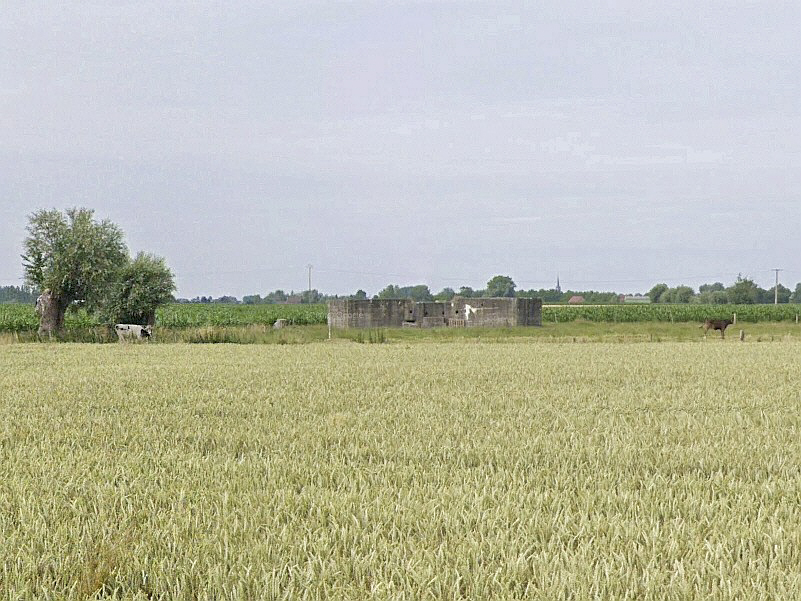 Ligne Maginot - BEF 7 - CHATEAU DES BOIS OUEST - (Abri) -  - Google StreetView