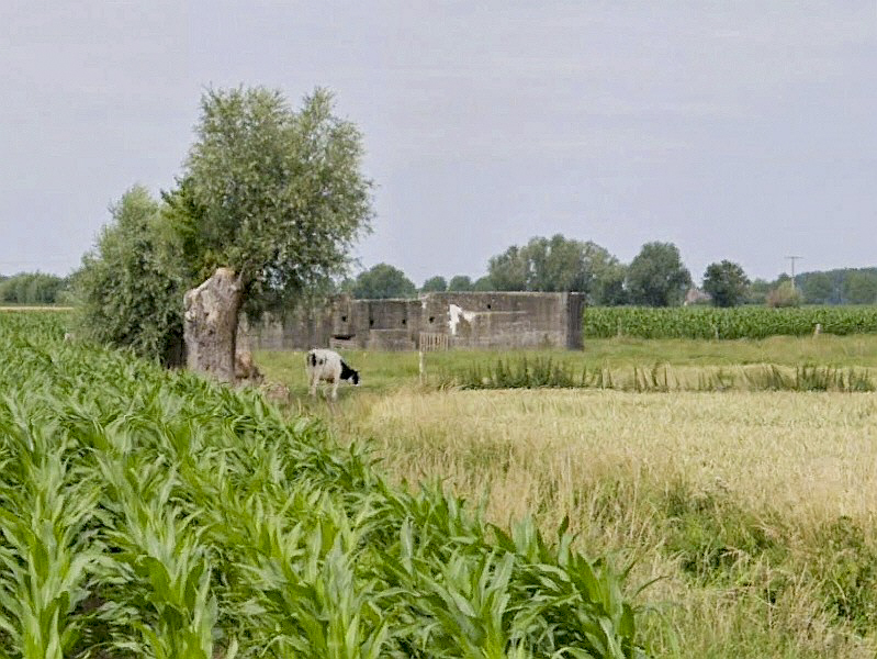 Ligne Maginot - BEF 7 - CHATEAU DES BOIS OUEST - (Abri) -  - Google StreetView
