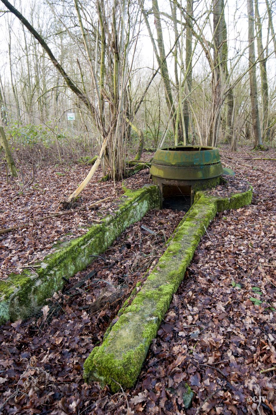 Ligne Maginot - T8 - BOIS DE LA TASSONNIERE EST (TD N° 358) - (Cuve pour arme d'infanterie) -  - Lia VERMEULEN