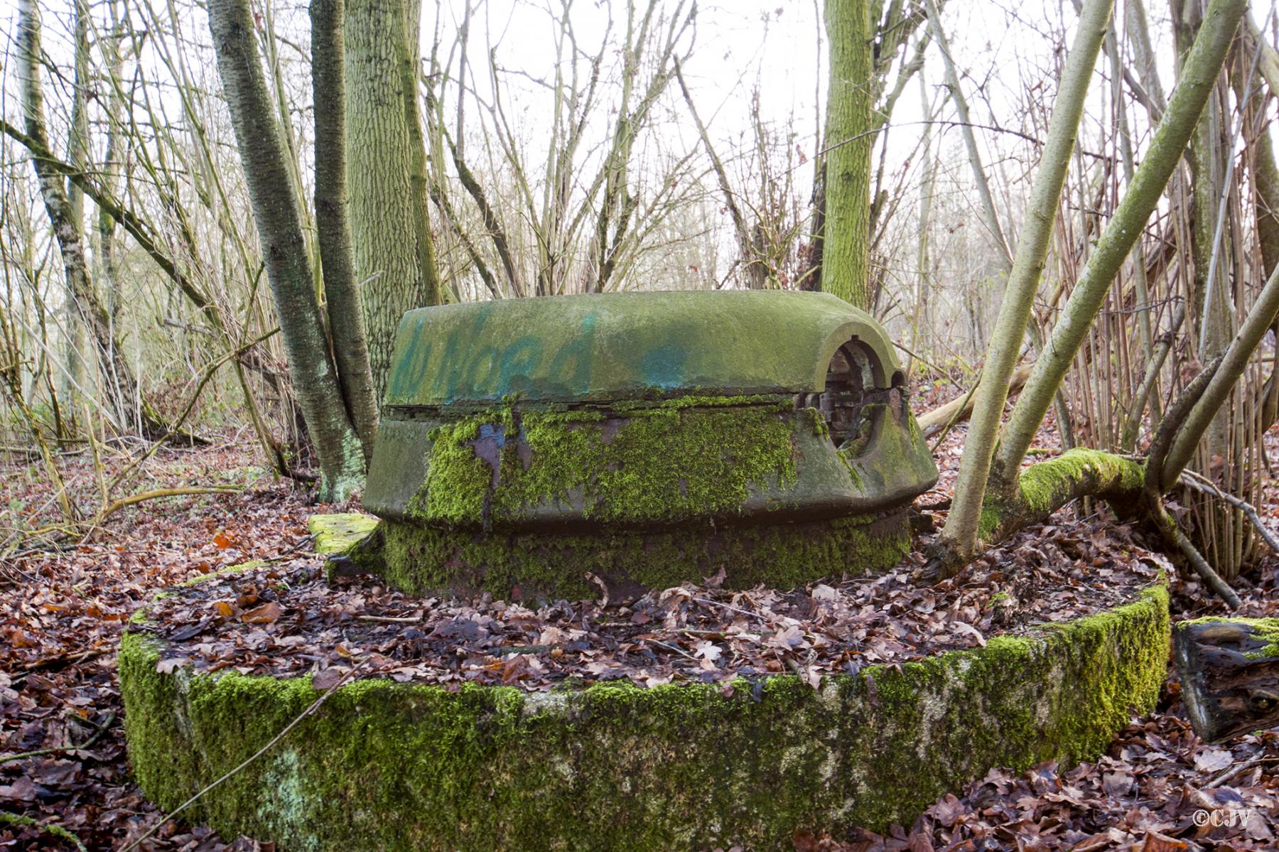 Ligne Maginot - T8 - BOIS DE LA TASSONNIERE EST (TD N° 358) - (Cuve pour arme d'infanterie) -  - Lia VERMEULEN