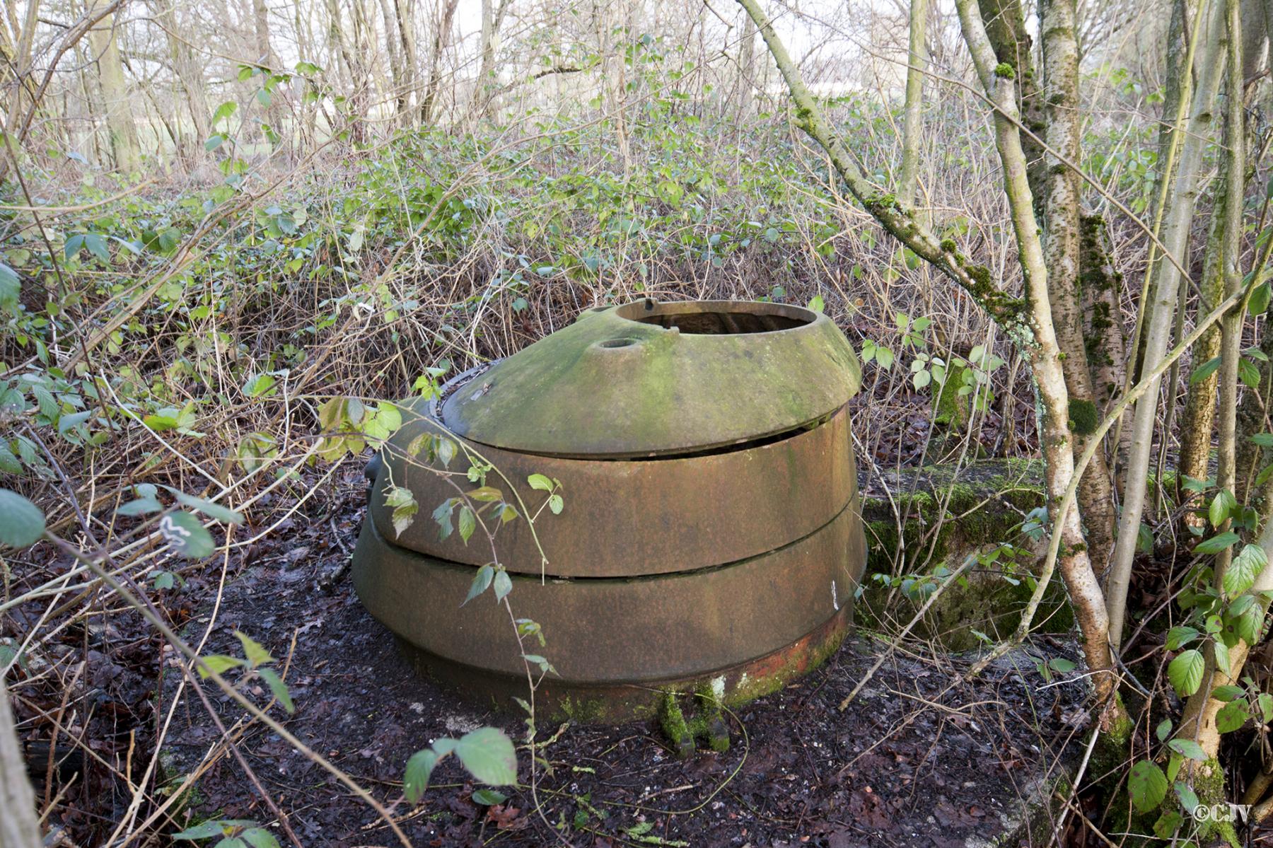 Ligne Maginot - T7 - BOIS DE LA TASSONNIERE OUEST (TD N° 363) - (Cuve pour arme d'infanterie) -  - Lia VERMEULEN