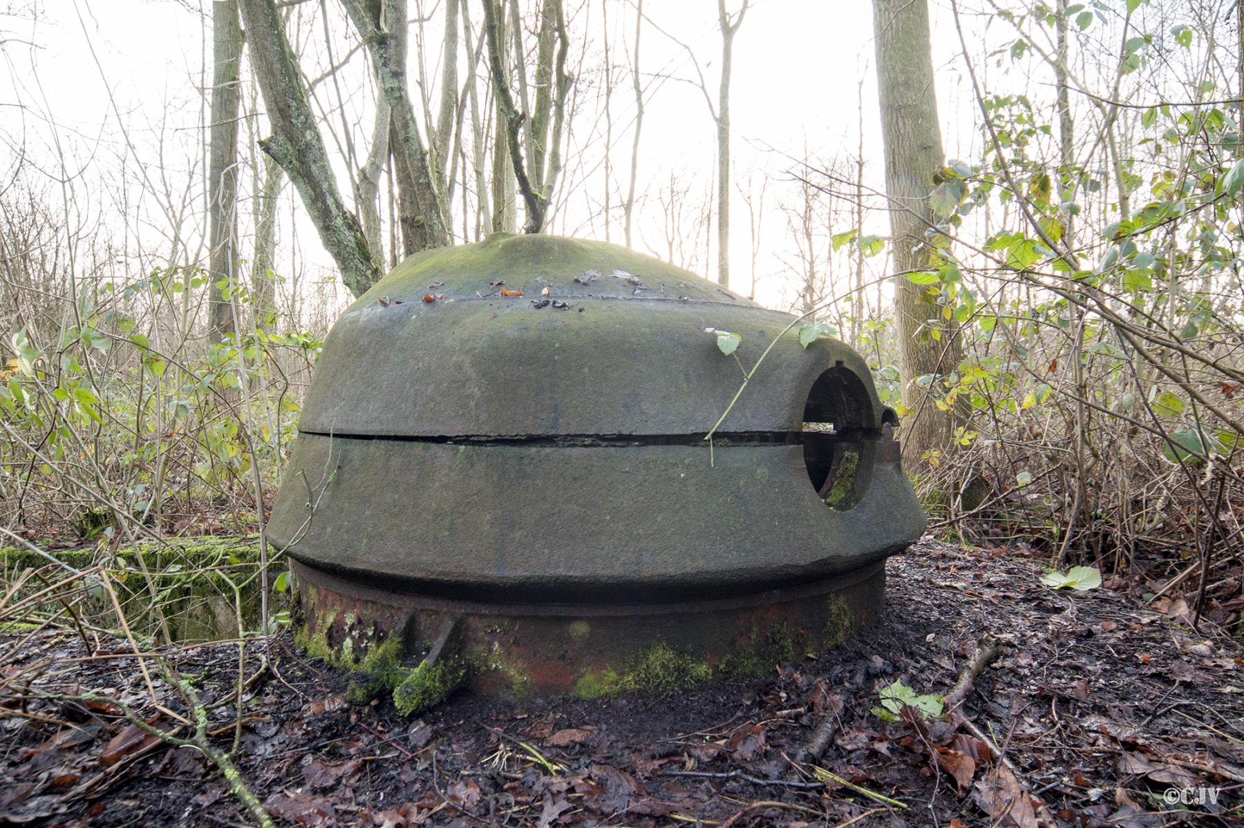 Ligne Maginot - T7 - BOIS DE LA TASSONNIERE OUEST (TD N° 363) - (Cuve pour arme d'infanterie) -  - Lia VERMEULEN