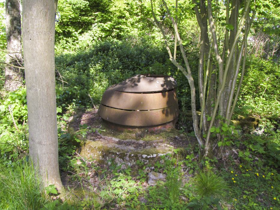 Ligne Maginot - T7 - BOIS DE LA TASSONNIERE OUEST (TD N° 363) - (Cuve pour arme d'infanterie) -  - Vincent Vermeulen