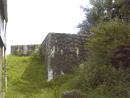 Ligne Maginot - BEF 141 - TERRAIN D'AVIATION DE FLERS OUEST 1 - (Blockhaus pour canon) -  - Jean-Louis AUBLET & Sylvie MAINGUIN