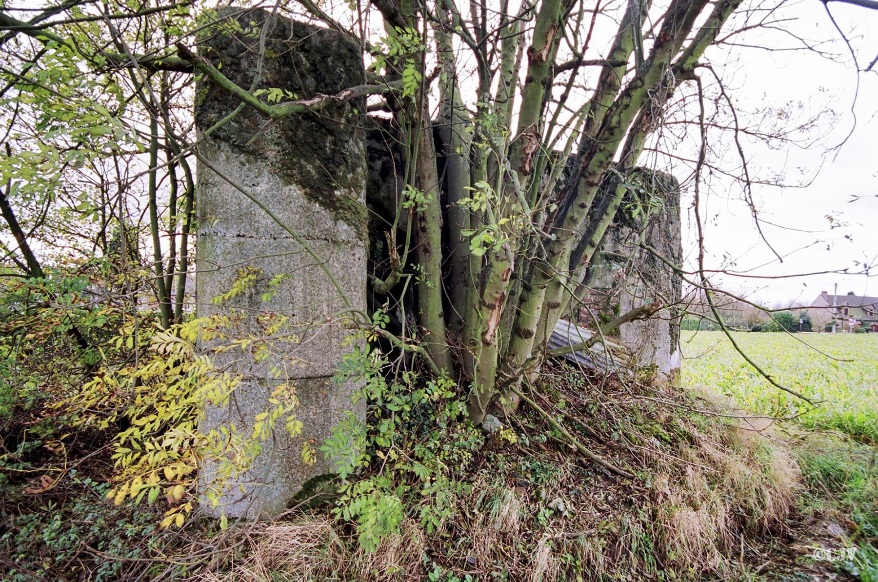 Ligne Maginot - BEF 200 - CIMETIÈRE de SAINGHIN (Blockhaus pour arme infanterie) -  - Caspar Vermeulen