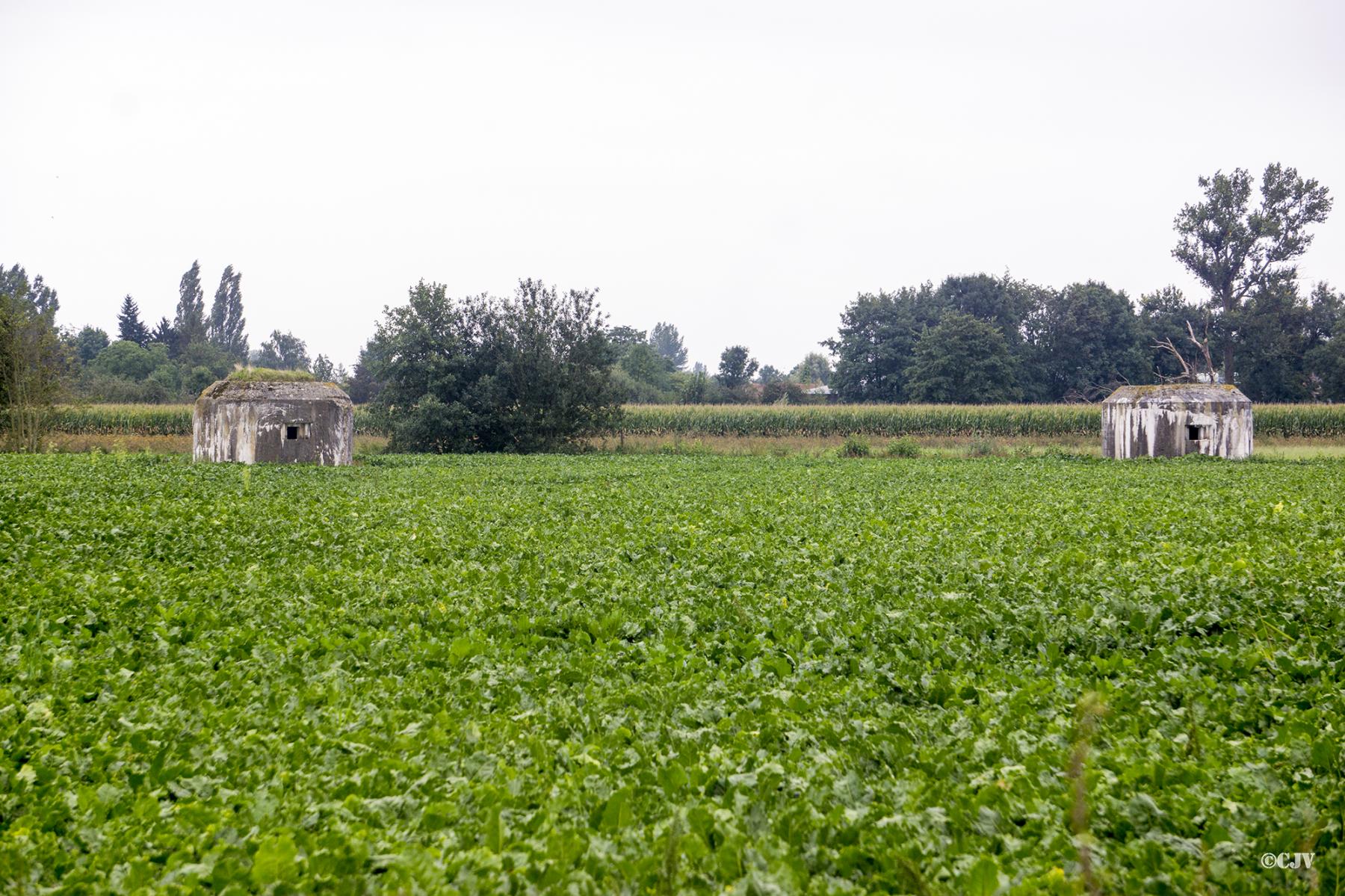Ligne Maginot - BEF 682 - ROBREUX EST - (Blockhaus pour arme infanterie) -  - Lia VERMEULEN