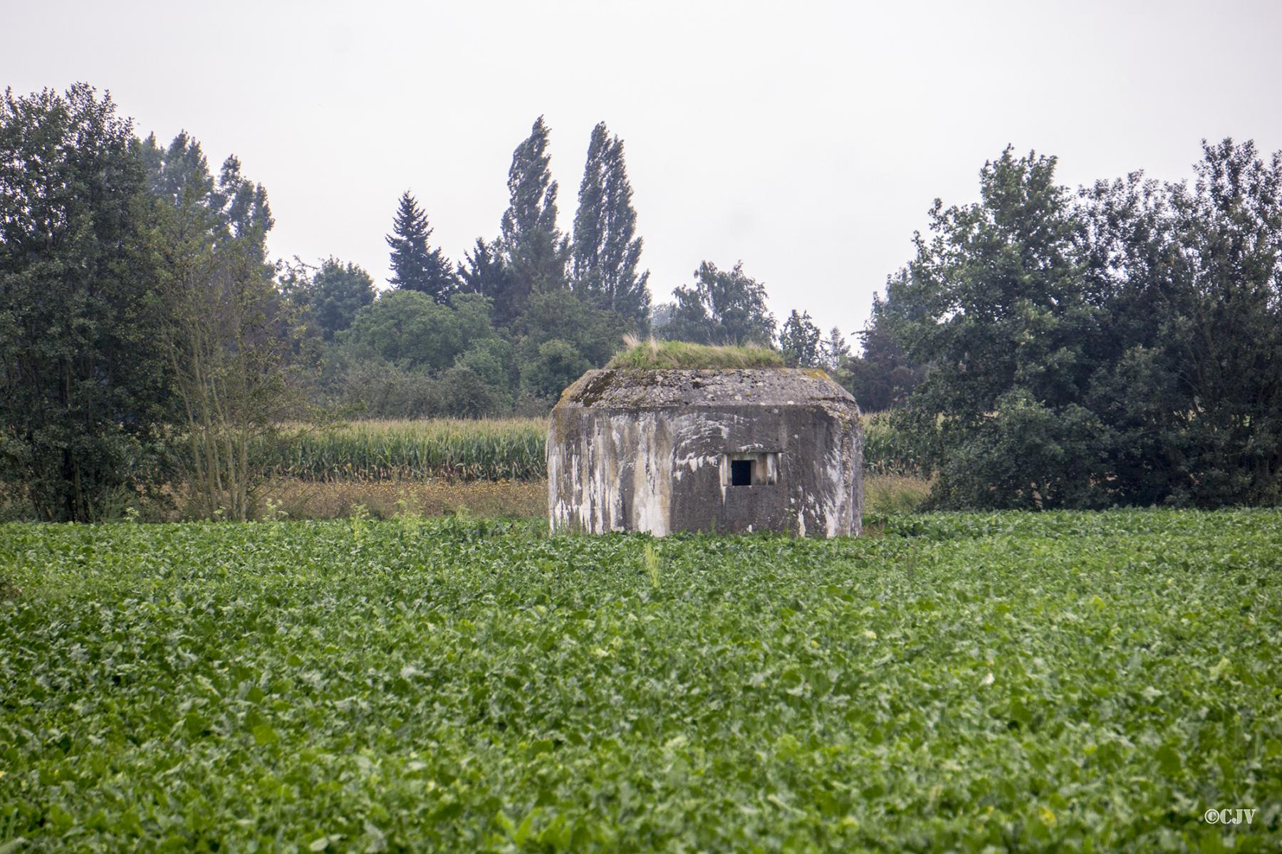 Ligne Maginot - BEF 682 - ROBREUX EST - (Blockhaus pour arme infanterie) -  - Lia VERMEULEN