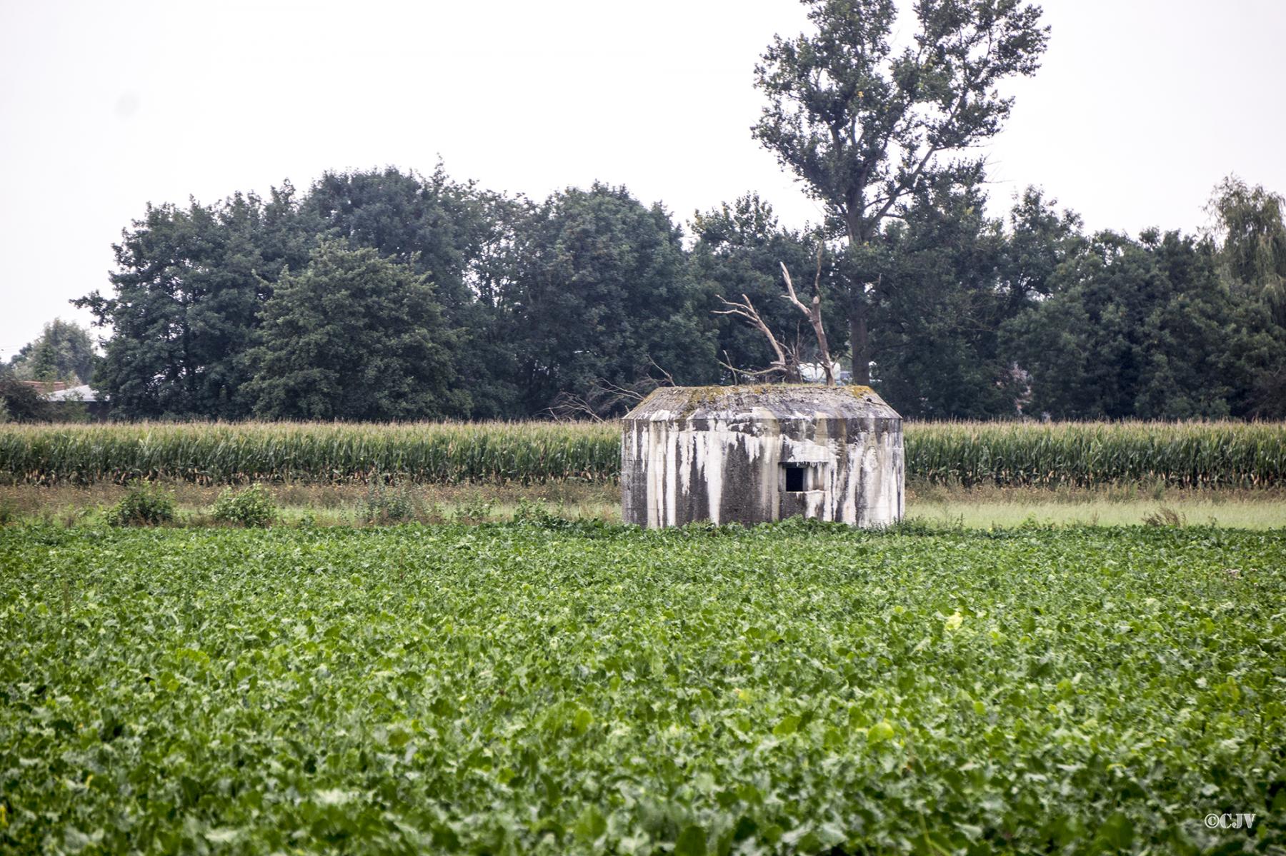 Ligne Maginot - BEF 681 - ROBREUX OUEST - (Blockhaus pour arme infanterie) -  - Lia VERMEULEN
