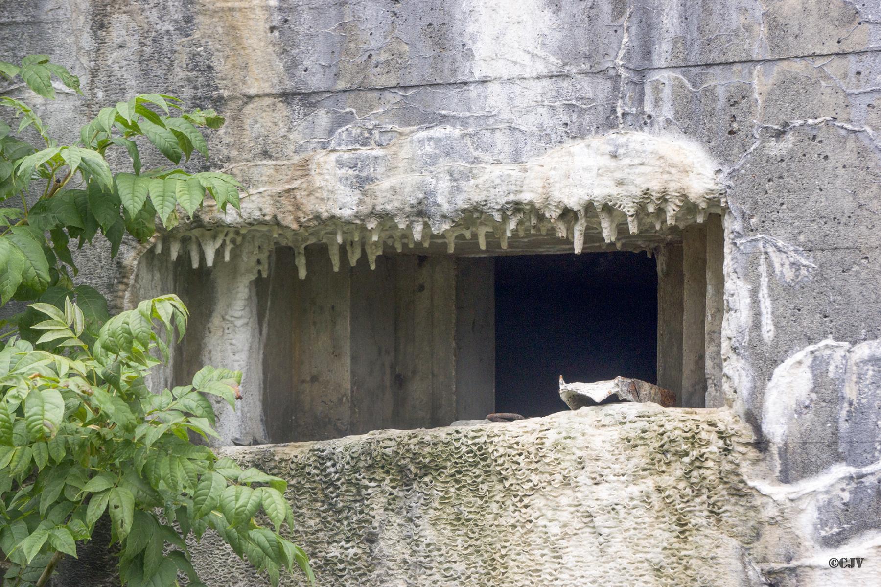 Ligne Maginot - BEF 675 - CENSE DE CHOQUES SUD EST - (Blockhaus pour arme infanterie) -  - Lia VERMEULEN