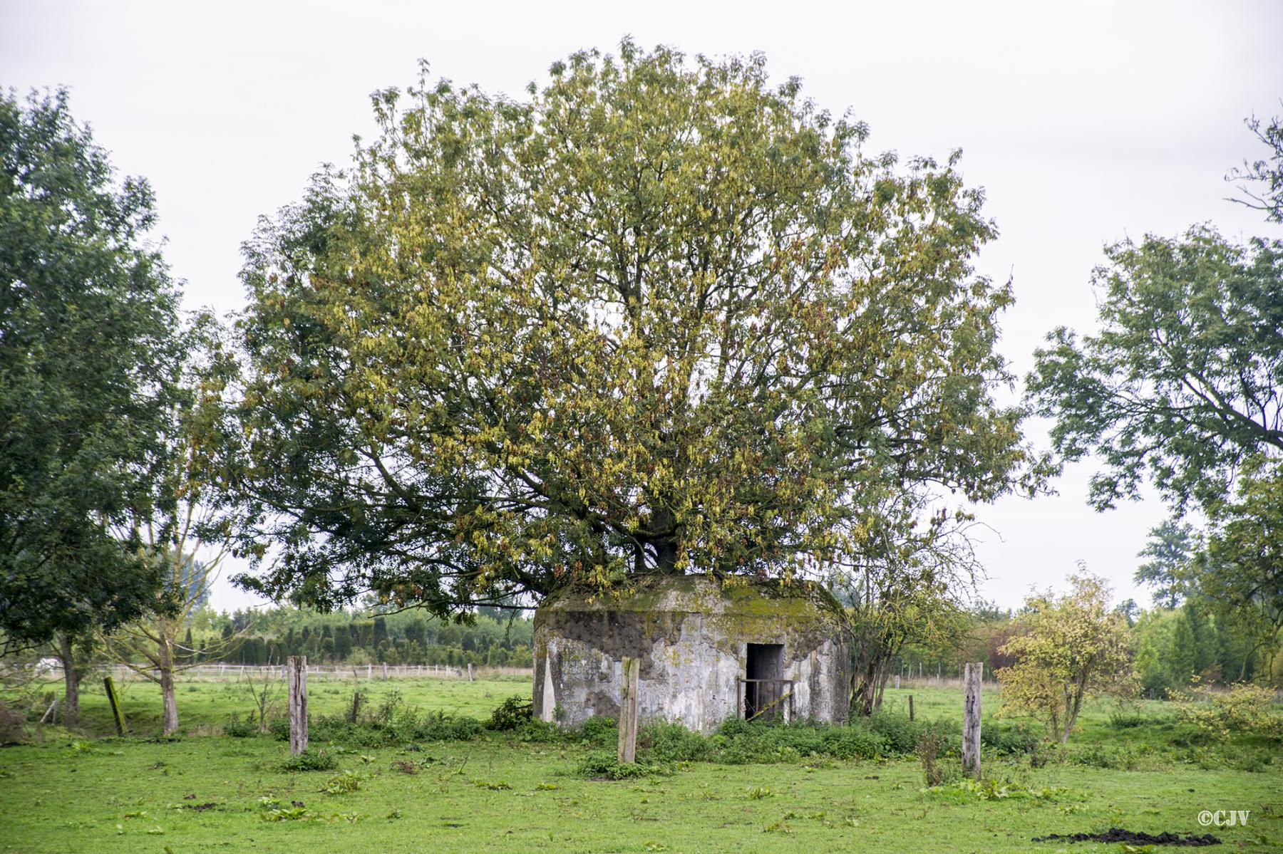 Ligne Maginot - BEF 672 - CENSE DE CHOQUES NORD OUEST - (Blockhaus pour arme infanterie) -  - Lia VERMEULEN