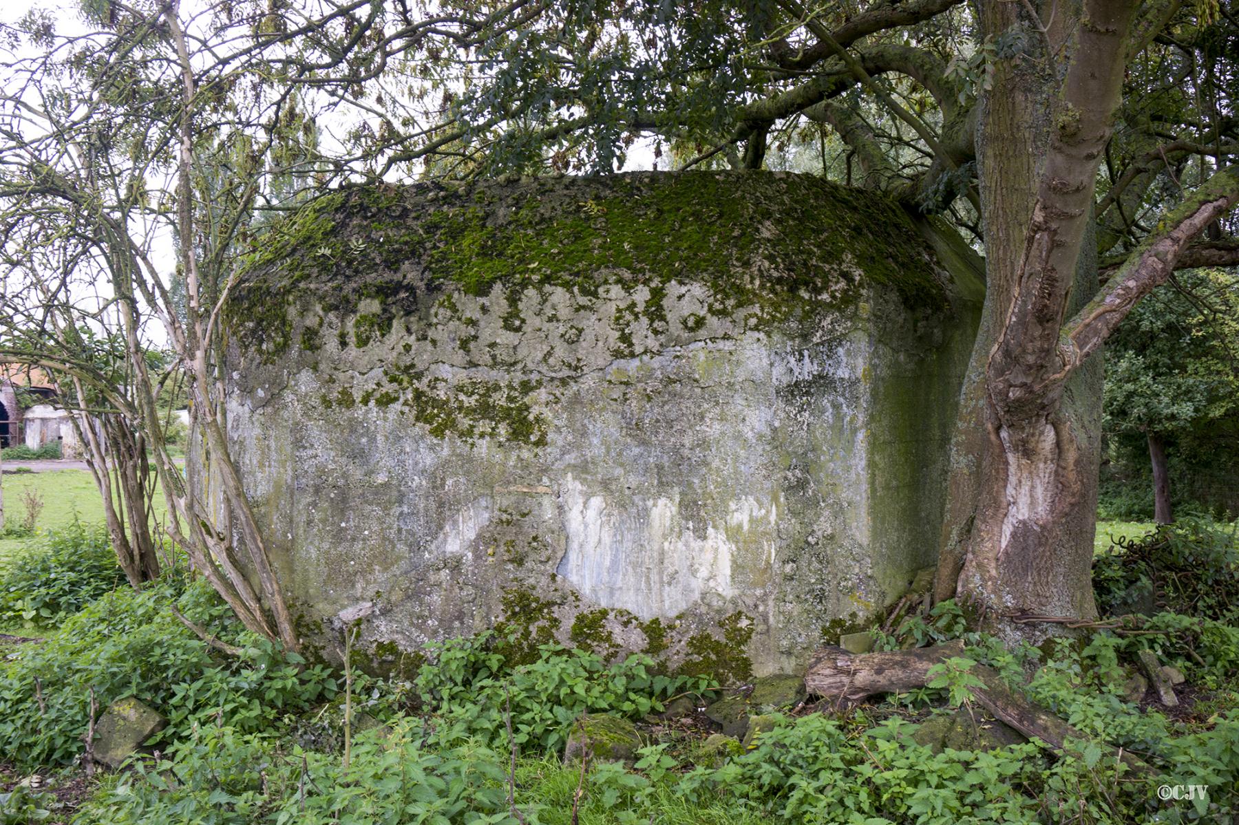 Ligne Maginot - BEF 672 - CENSE DE CHOQUES NORD OUEST - (Blockhaus pour arme infanterie) -  - Lia VERMEULEN