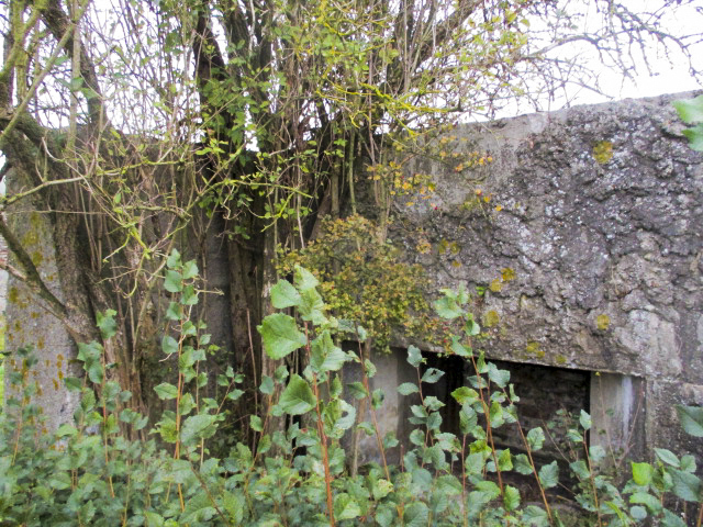 Ligne Maginot - BEF 213 - COUTURE DU BAS-SAINGHIN SUD - (Blockhaus pour canon) -  - Smardz Félix